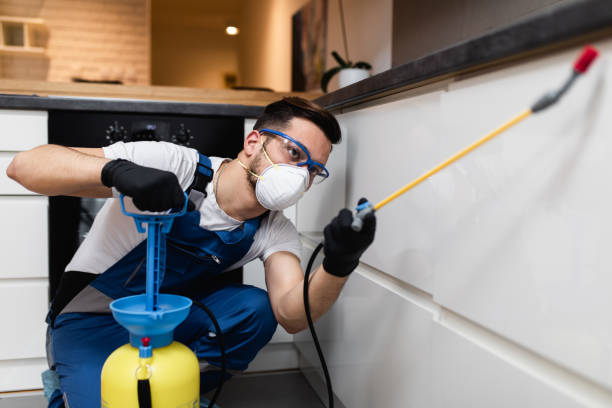 Best Pest Prevention Services  in Cao, ND