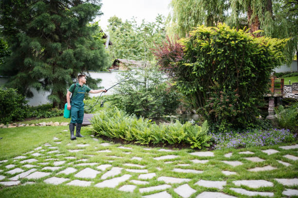 Best Pest Inspection Near Me  in Cao, ND