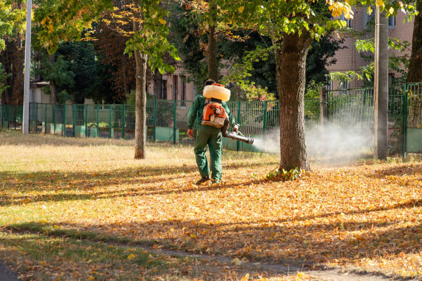 Professional Pest Control in Cando, ND