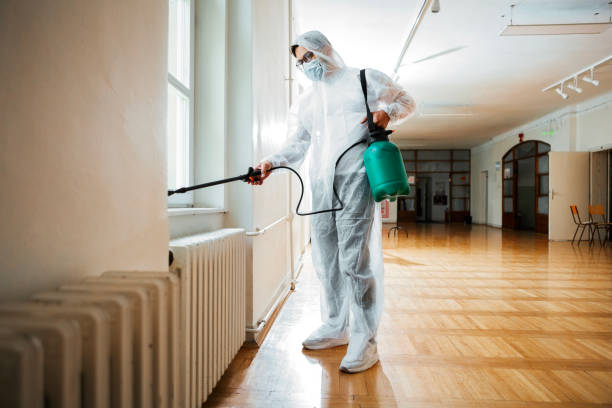 Best Bed Bug Extermination  in Cao, ND