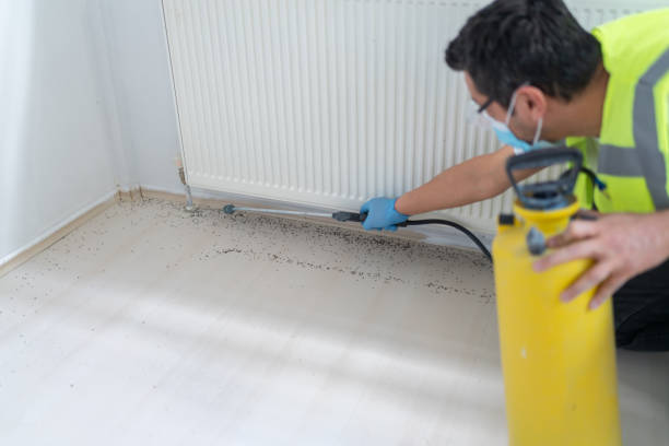 Best Affordable Pest Control Services  in Cao, ND
